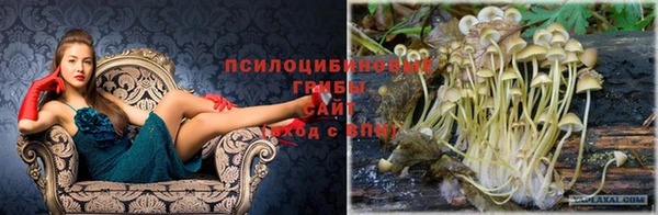 соль ск Михайлов