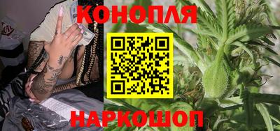 ALPHA PVP Гай